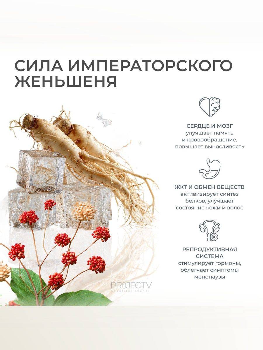 Project V G Ginseng Capsules 60 Count Dietary Supplement for Immune Support #2