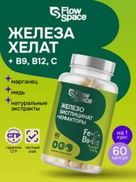 FLOWSPACE Iron Bisglycinate + Vitamin C, B9, B12, Copper, Manganese 60 Forehead Patches #1