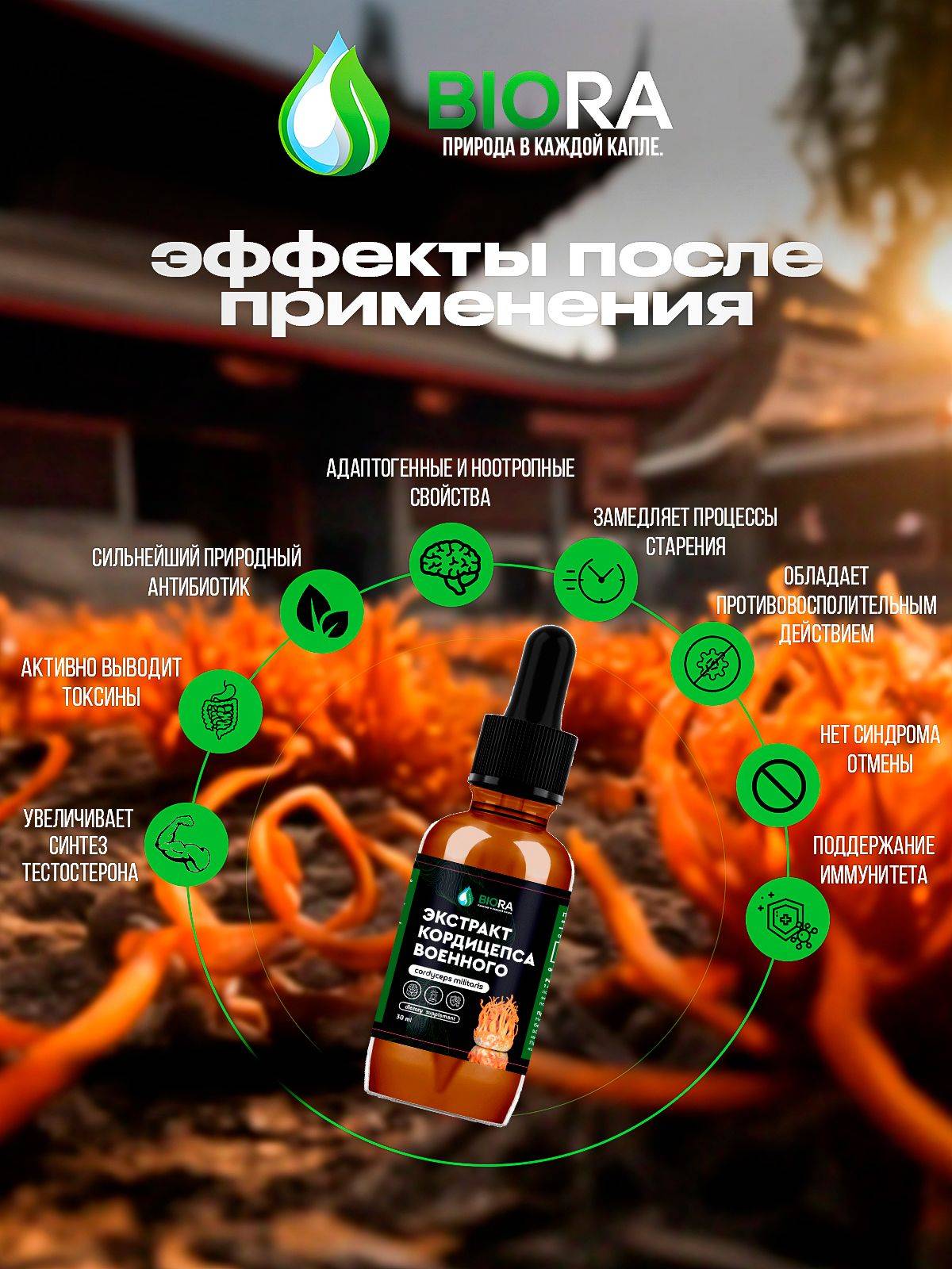 BIORA Cordyceps Militaris Dual-Extract 30 ml Dietary Supplement #2