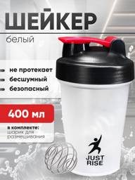 JUSTRISE Sports Shaker with Whisk, 400 ml #1