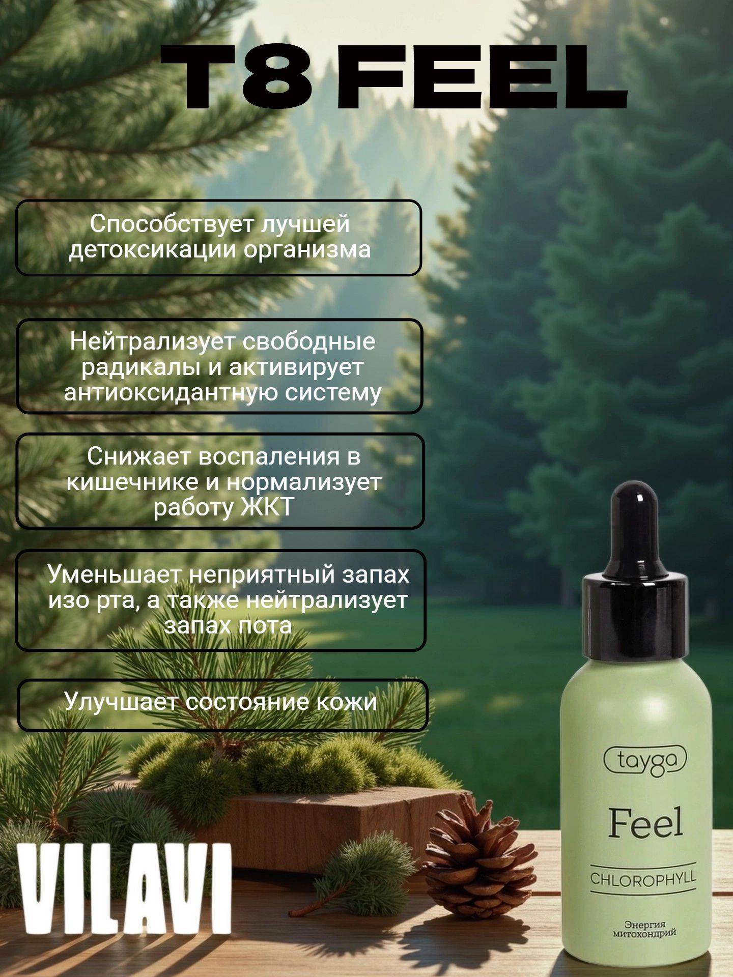 VILAVI T8 FEEL Chlorophyll Concentrate 50ml Spruce Flavor #2