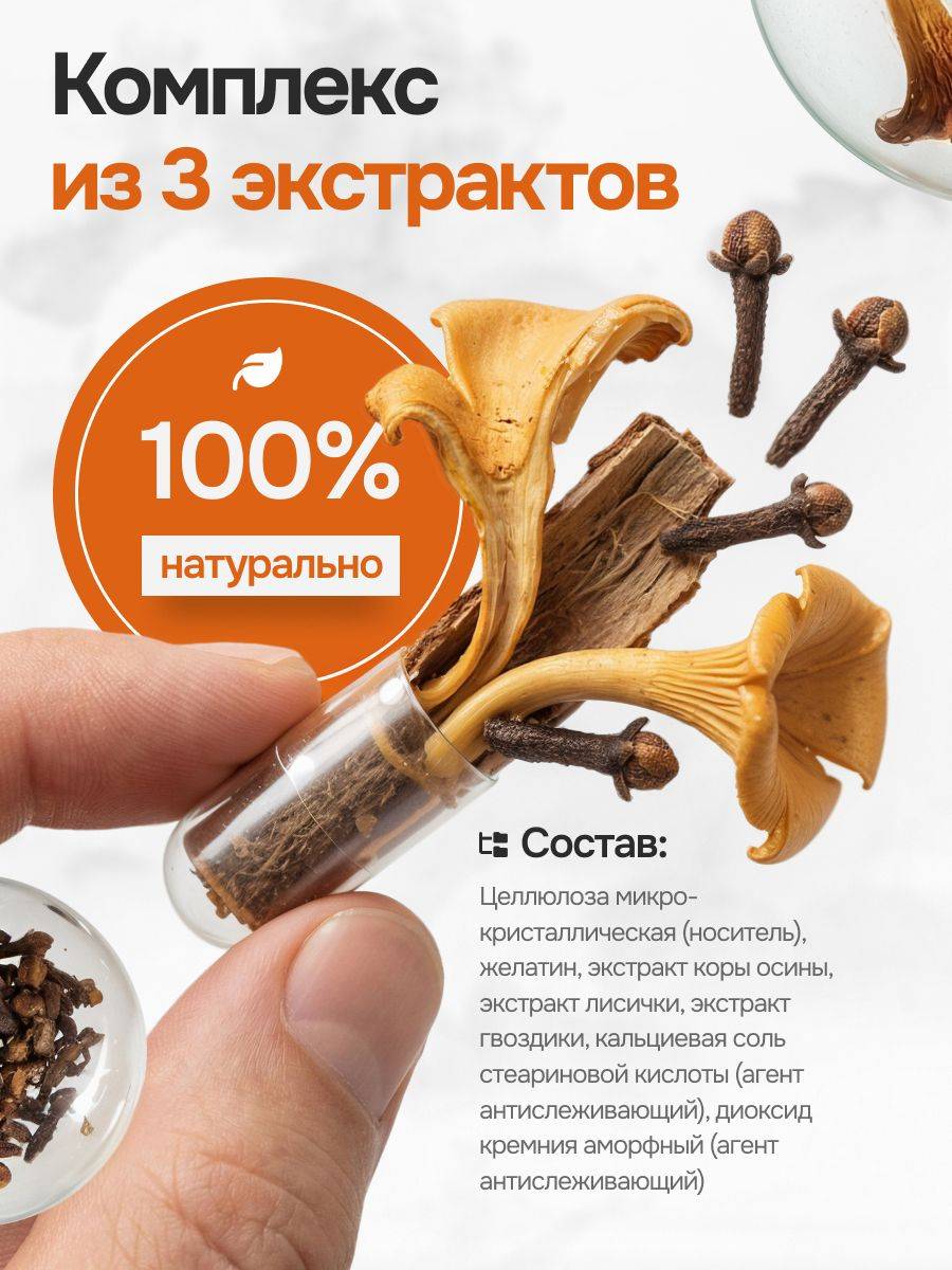 Farmgrupp Chaga with Birch Bark and Clove 90 Capsules #4