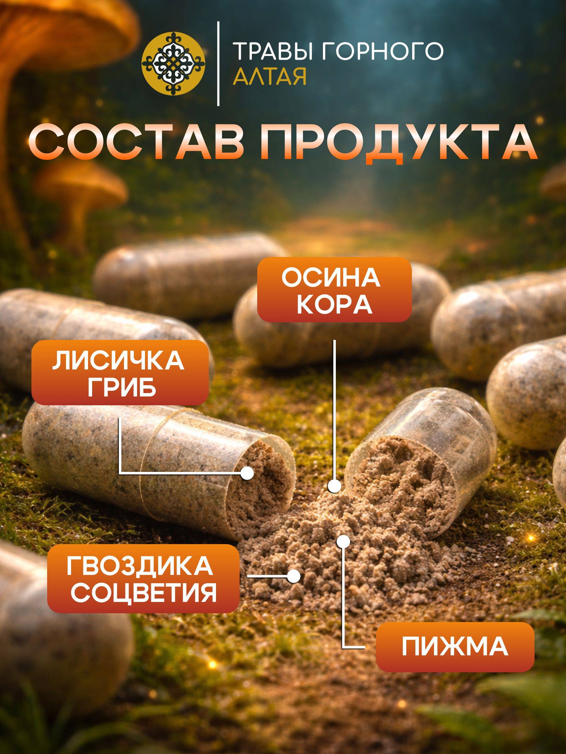 TRAVY GORNOGO ALTAI Mushroom Capsules 60ct #2