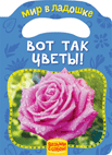 Вот так цветы! | Look at These Flowers!