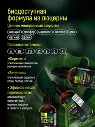 Fenzi Liquid Chlorophyll Concentrate 150 g, 50 Servings, Mint #9