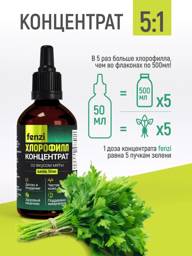 Fenzi Liquid Chlorophyll Concentrate 150 g, 50 Servings, Mint #2