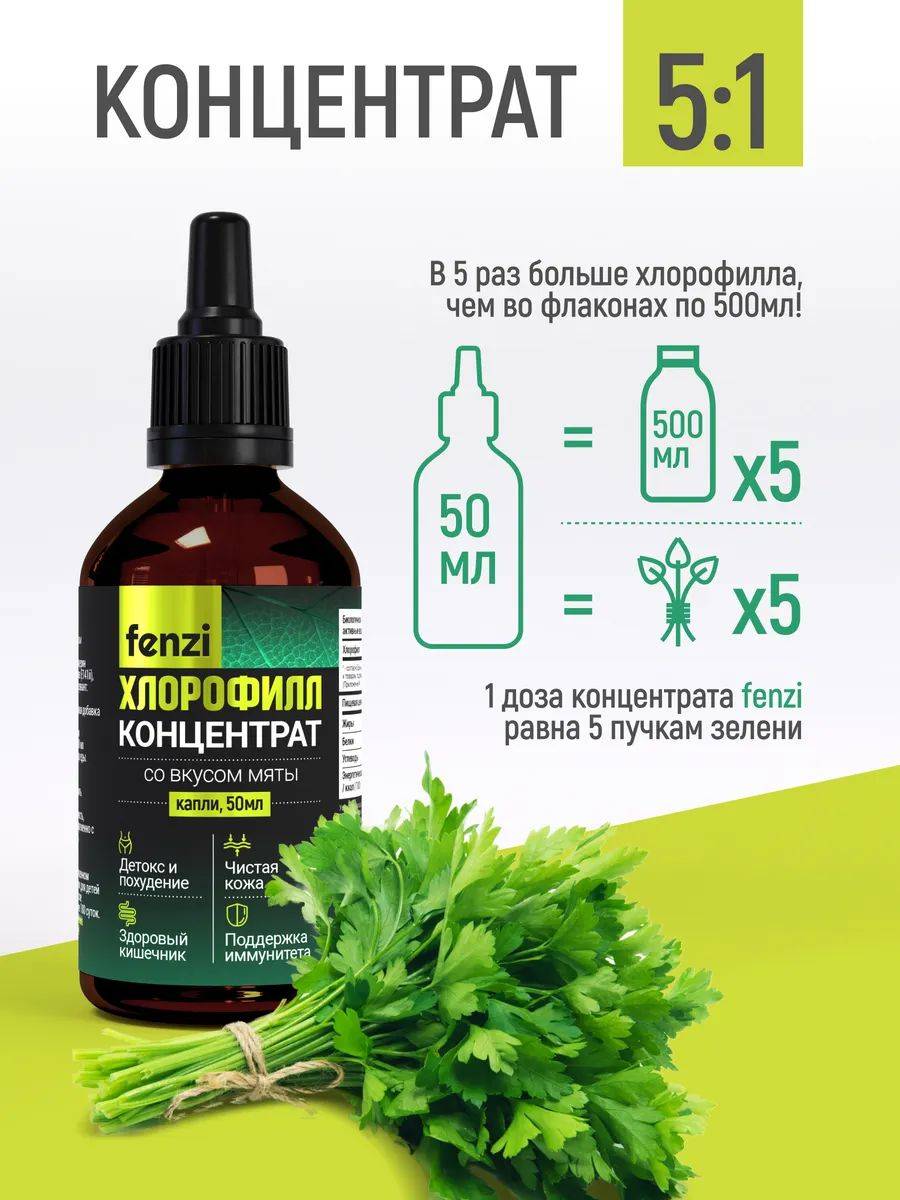 Fenzi Liquid Chlorophyll Concentrate 150 g, 50 Servings, Mint #2