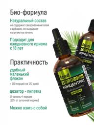 Fenzi Liquid Chlorophyll Concentrate 150 g, 50 Servings, Mint #10
