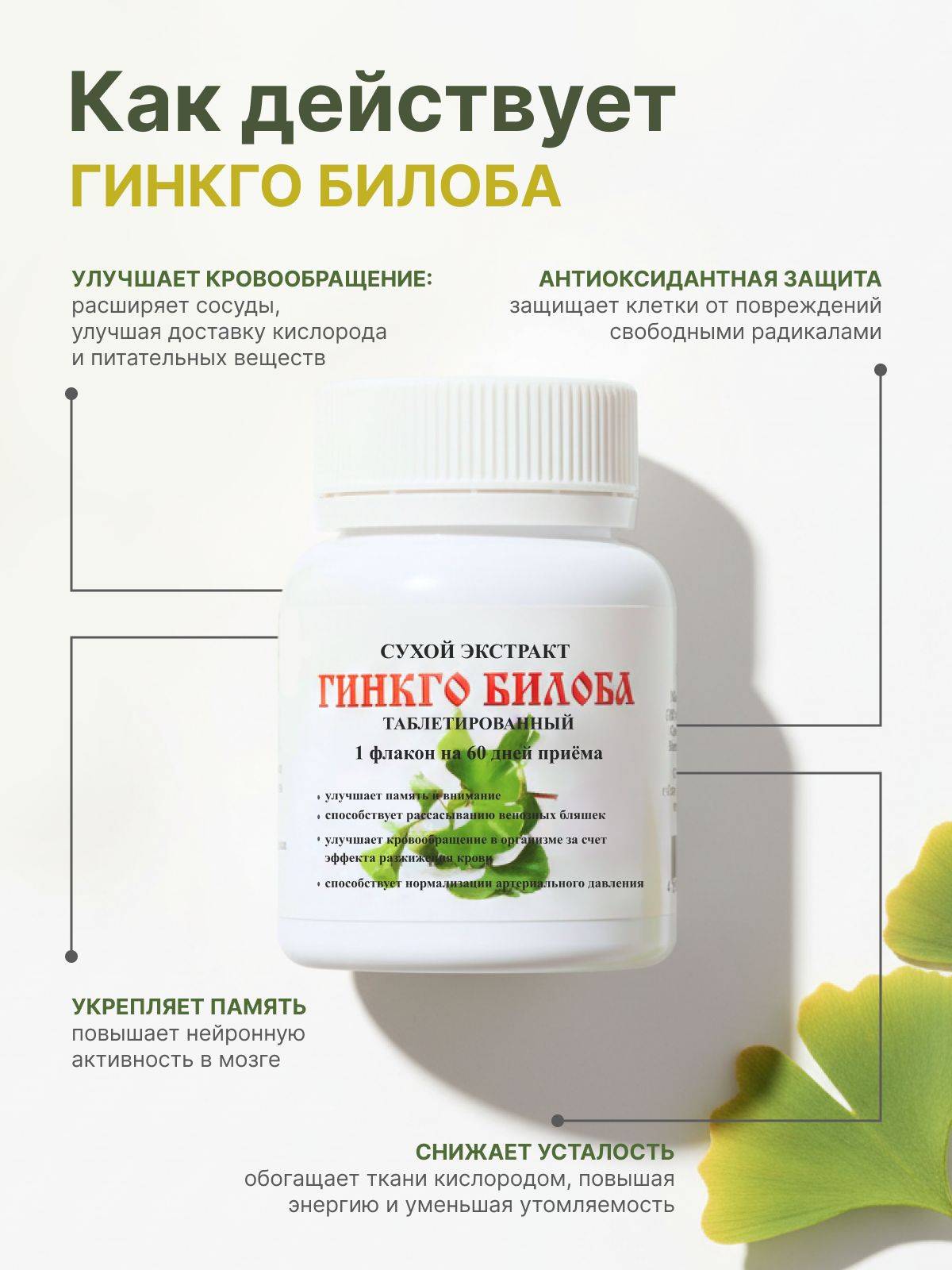 Melmur Ginkgo Biloba 160 Tablet, 50 g (Dry Leaf Extract) #3