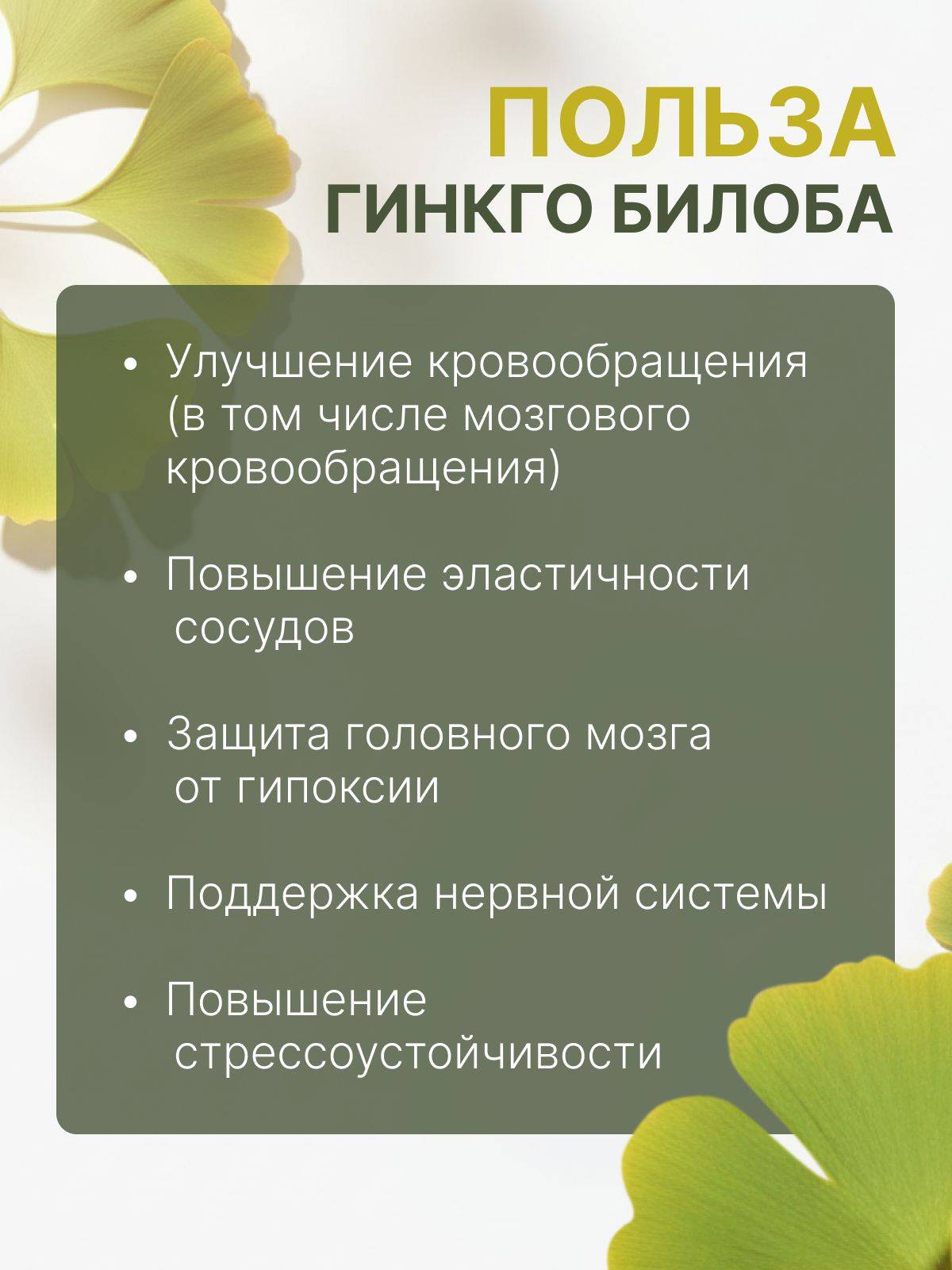 Melmur Ginkgo Biloba 160 Tablet, 50 g (Dry Leaf Extract) #2