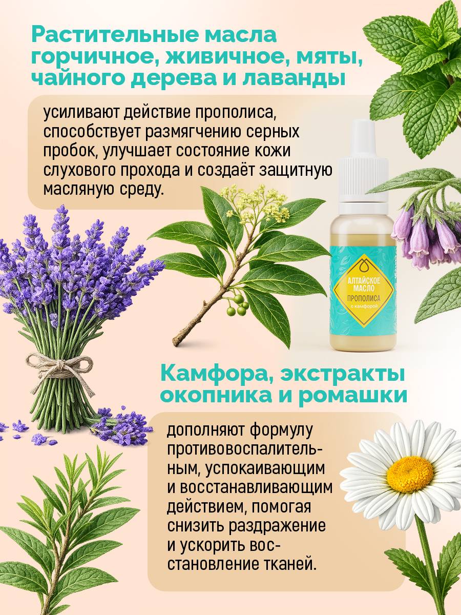 Cedaravedia Altai Propolis and Camphor Ear Drops, Golden Oil, 1 Piece #5