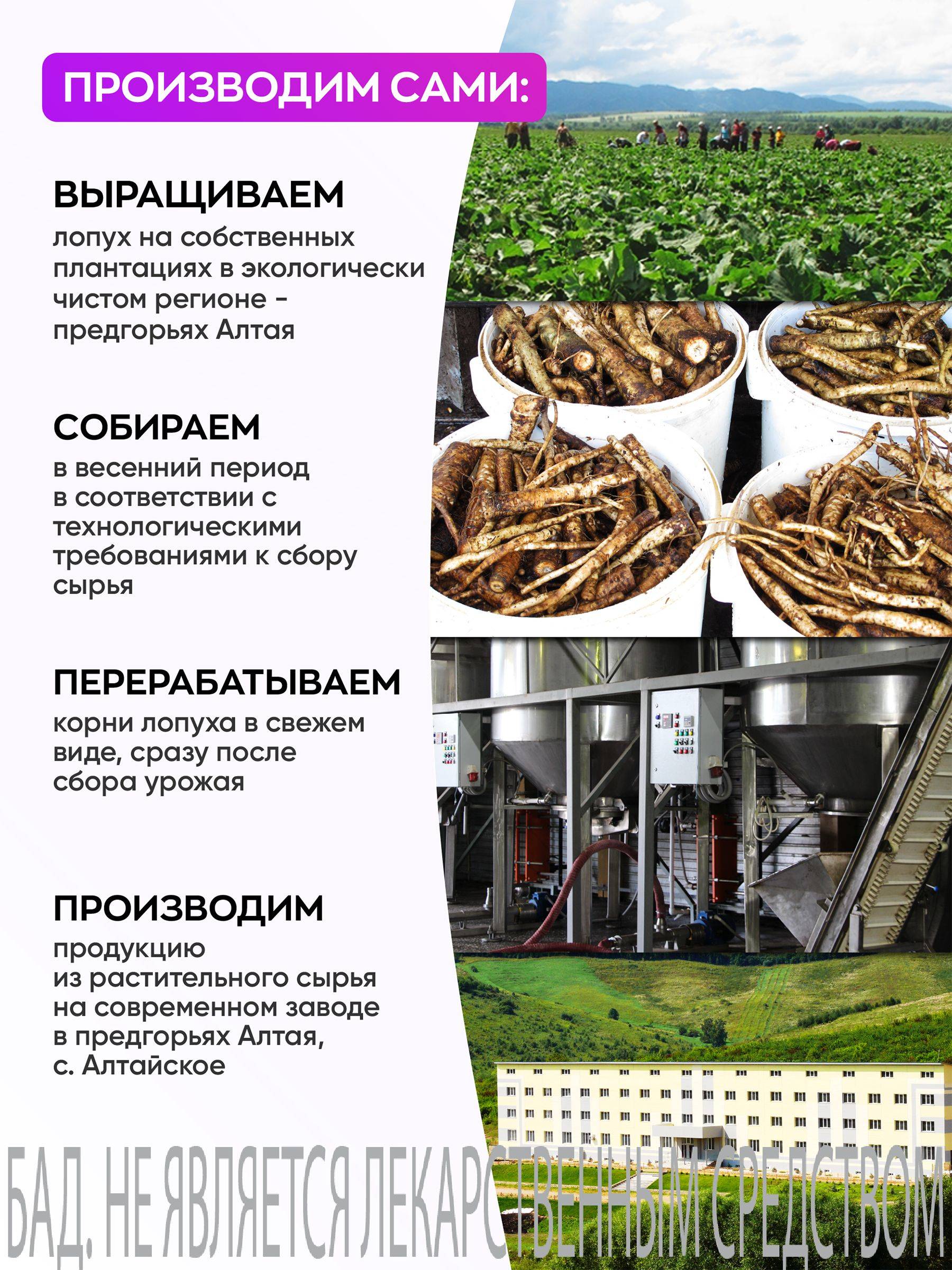 Visterra Dandelion Root Extract 90 Capsules #5