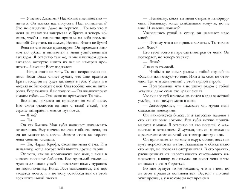 Красный Сокол фото книги 5