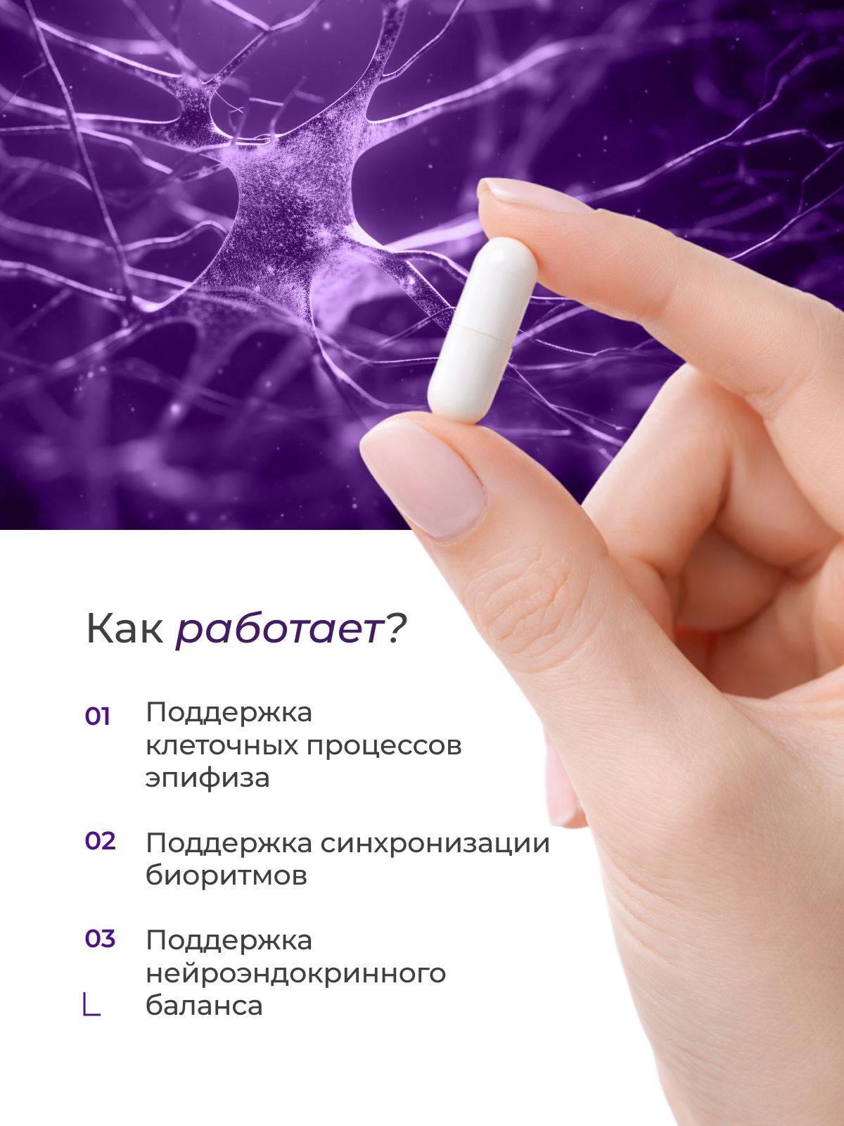 Peptides Endoluten N20 – Pineal Gland Peptide Complex, 20 Capsules #2
