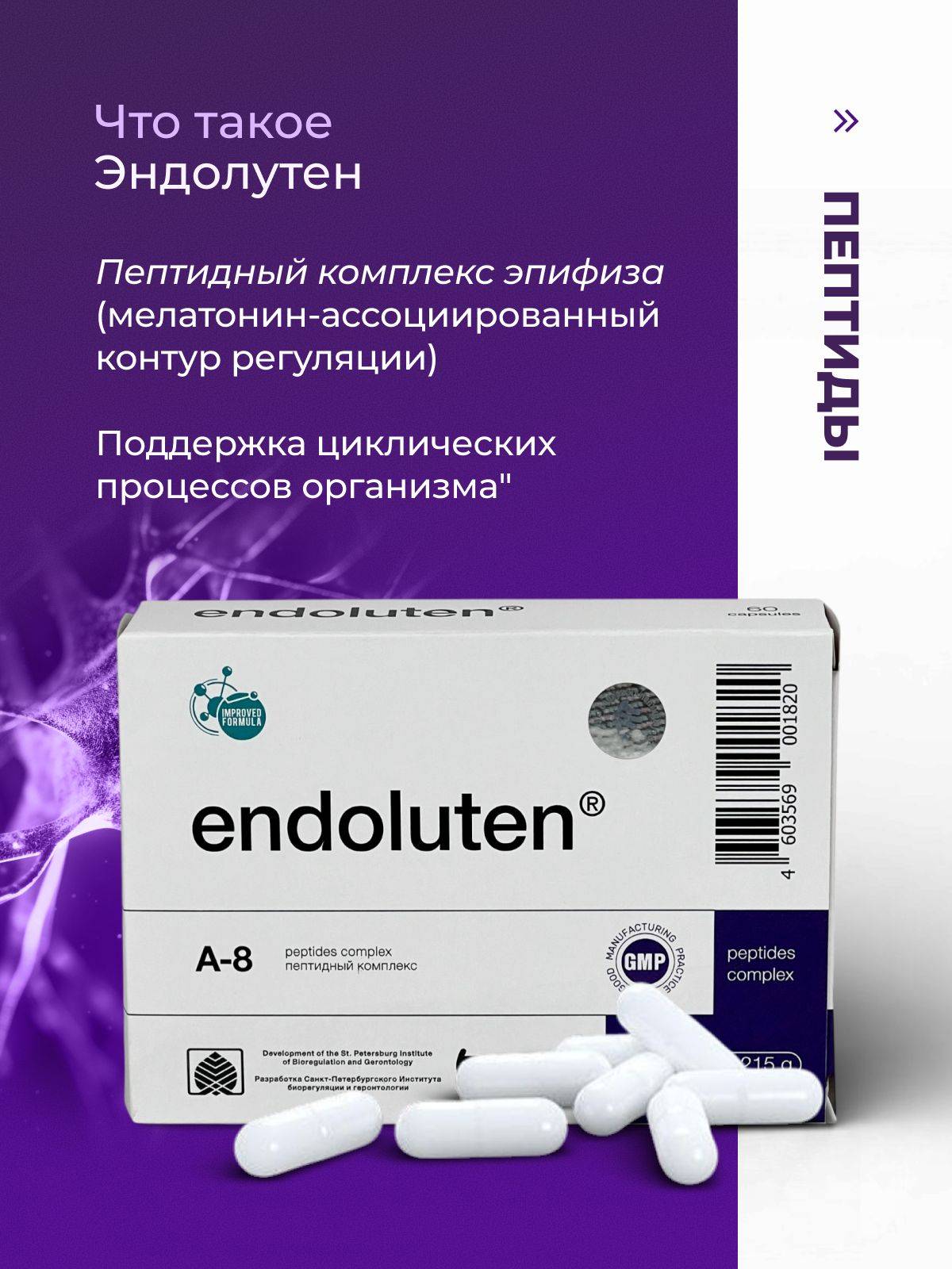 Peptides Endoluten N20 – Pineal Gland Peptide Complex, 20 Capsules #3