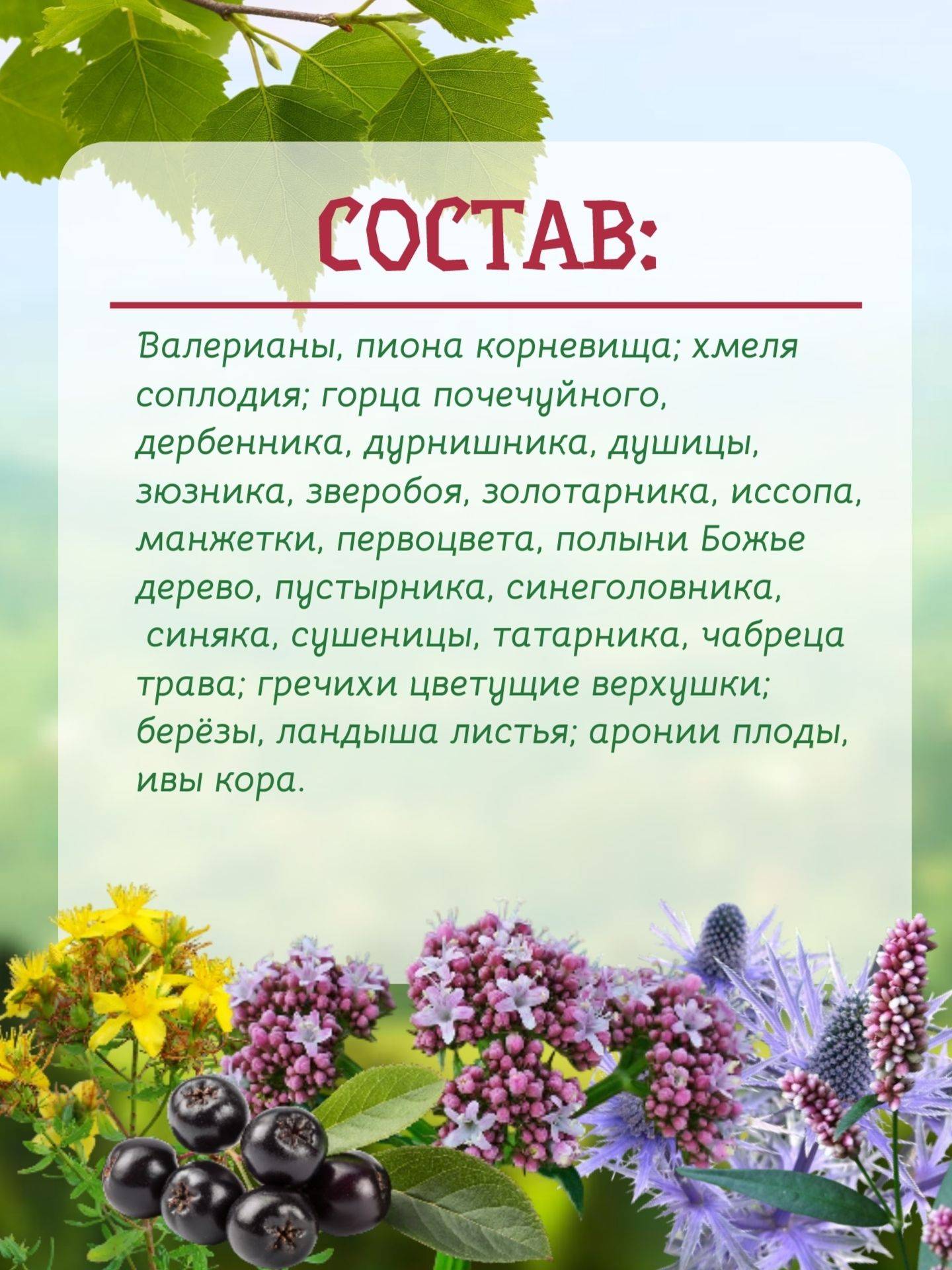 Fitocenter Gordeeva M.V. Herbal Tea "Nervy in Normal" 1.5g Filter Pack (20) #3