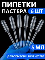 MiniMed Pasteur Pipette 5 mL, Polyethylene, 6 Count #1