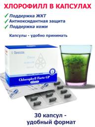 Santegra Chlorophyll Capsules, 30 Count #1