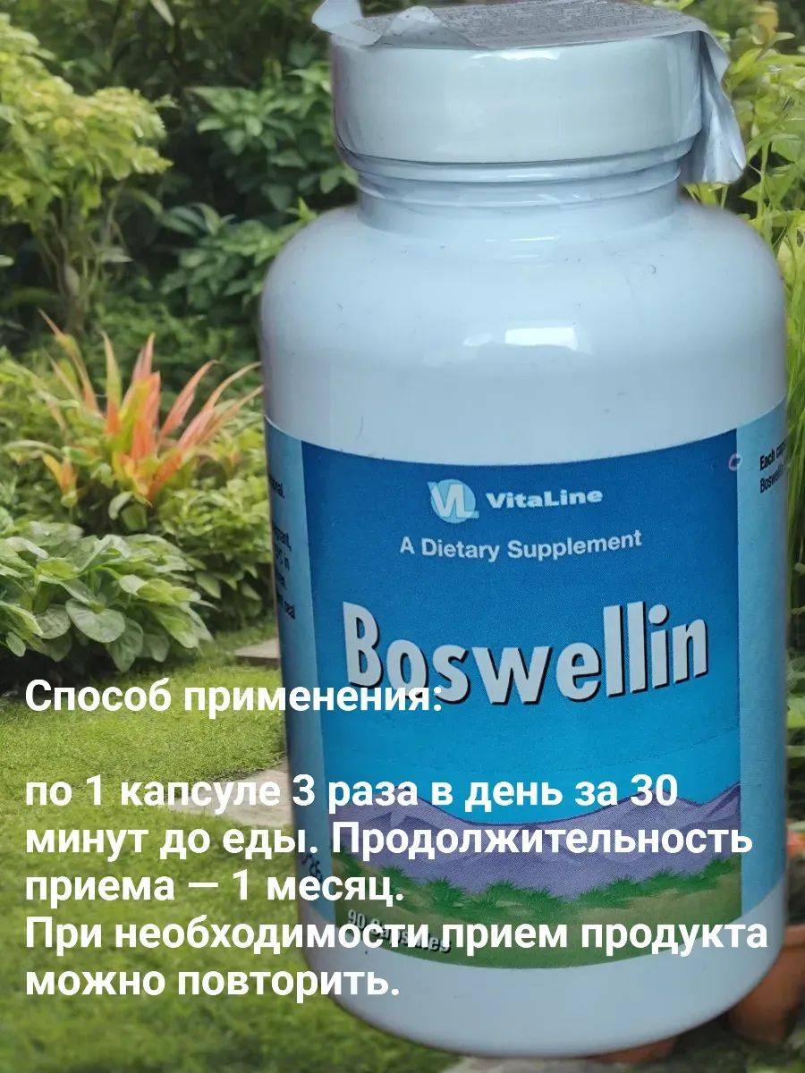 Boswellin Vitaline Capsules 510 mg (90 Count) – Plant-Based Anti-Inflammatory Dietary Supplement #2