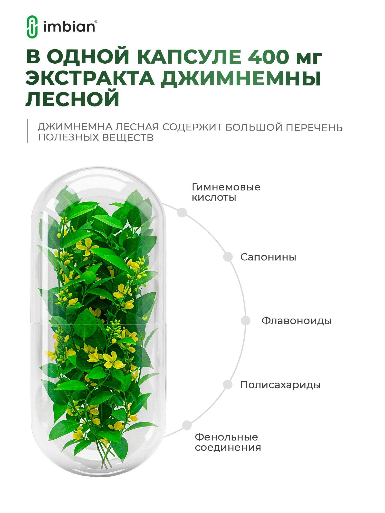 imbian Eco Gymnema Extract Dietary Supplement, 60 Capsules #2