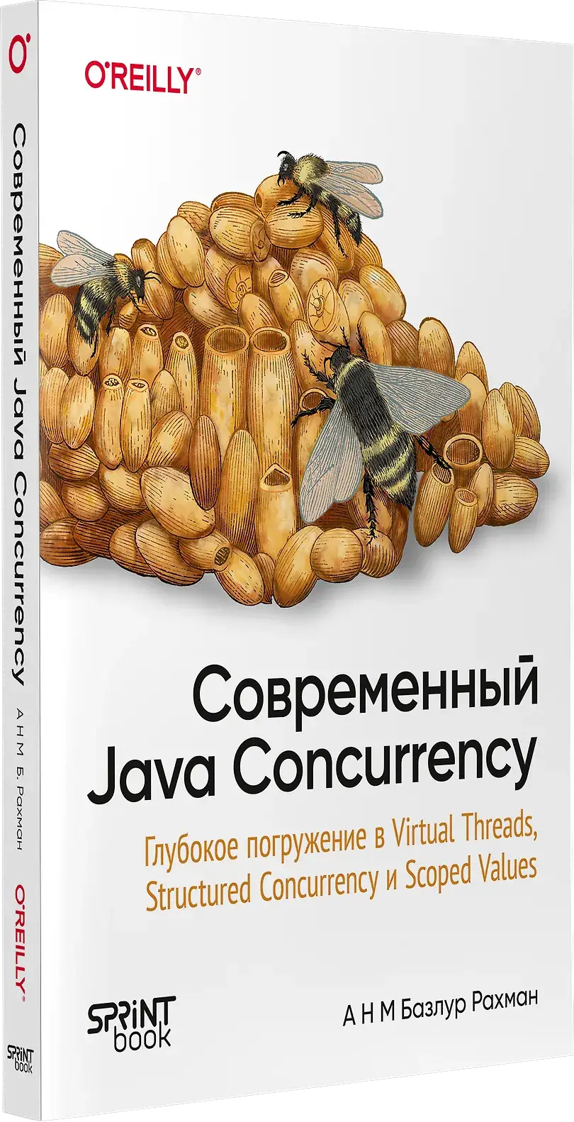 Современный Java Concurrency. Глубокое погружение в Virtual Threads, Structured Concurrency и Scoped Values фото книги 2