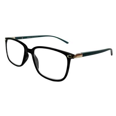 Estel Corrective Glasses +2.00 (ES1064 C1)