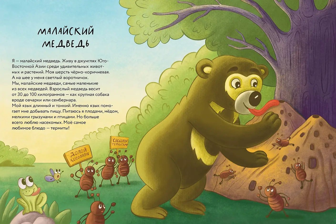 Косолапые медведи фото книги 4