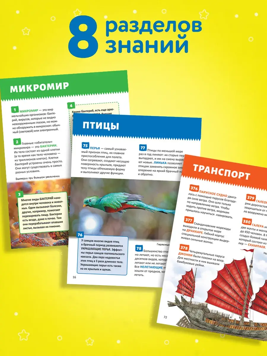 Энциклопедия для школьников. 500 важных фактов фото книги 3