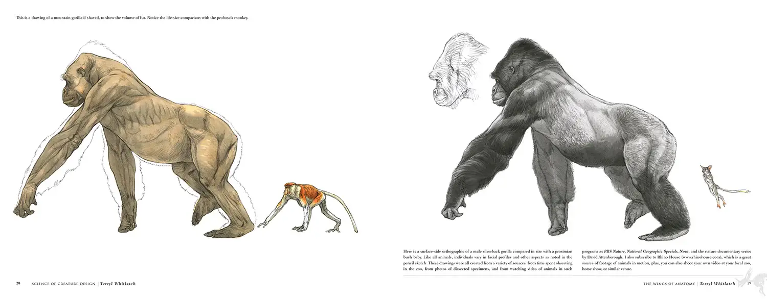 Science of Creature Design: Understanding Animal Anatomy фото книги 4