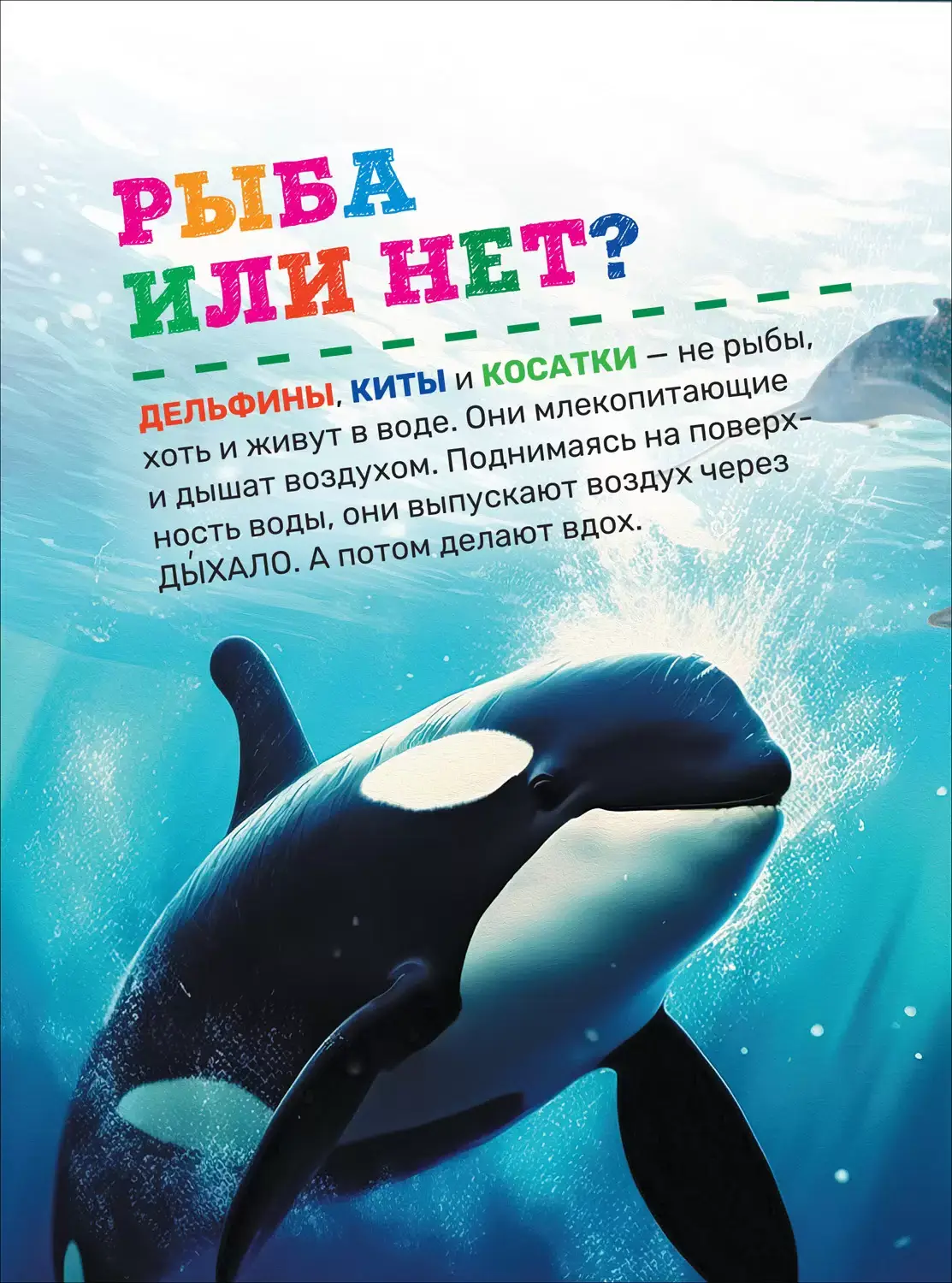 Подводный мир. Первая энциклопедия малыша фото книги 6