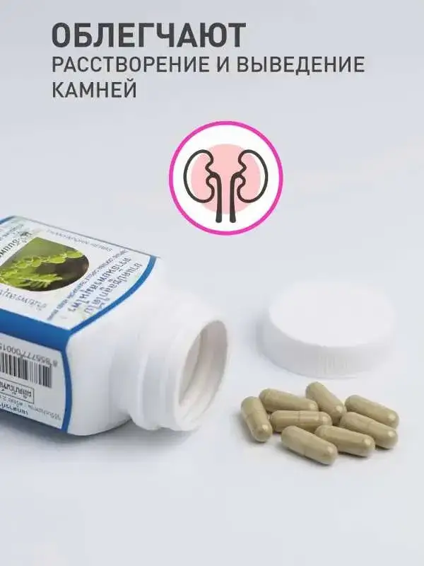 Thanyaporn Compound Looktaibai Capsules 100 pcs #7
