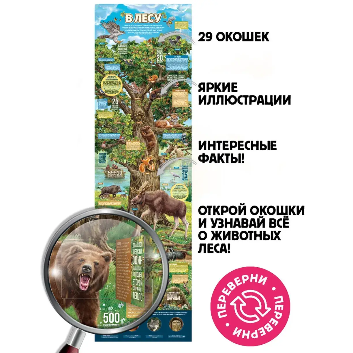 Секреты леса. Плакат с окошками фото книги 2