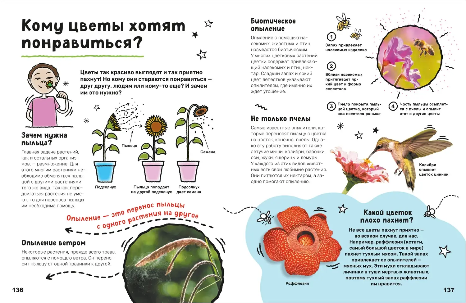 Суперэнциклопедия фото книги 3