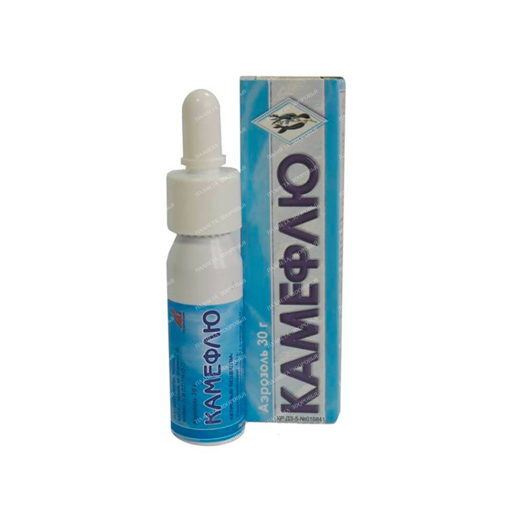 Cameflu aerosol for topical application 30g №1