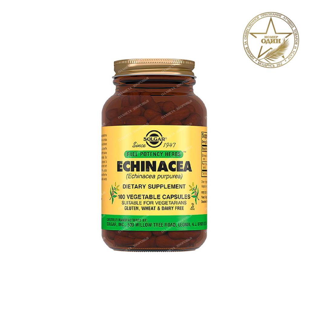 Solgar Echinacea Purpurea Extract, Capsules, 100 Count