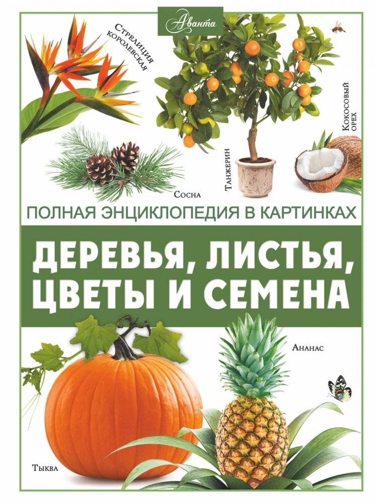 Деревья, листья, цветы и семена | Trees, Leaves, Flowers, and Seeds