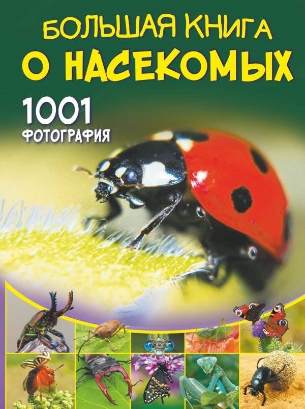 Большая книга о насекомых. 1001 фотография | The Big Book of Insects: 1001 Photographs