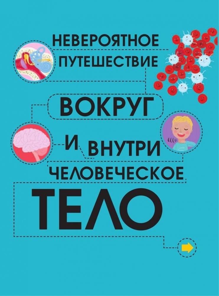 Человеческое тело. Невероятное путешествие вокруг и внутри фото книги 2