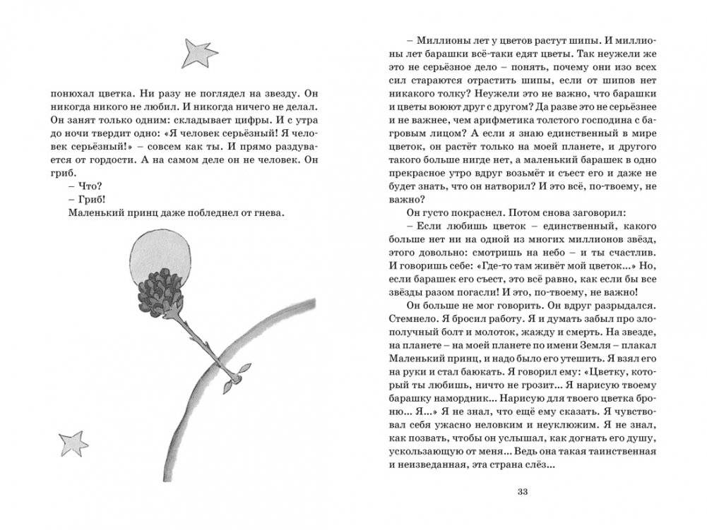 Маленький принц фото книги 4