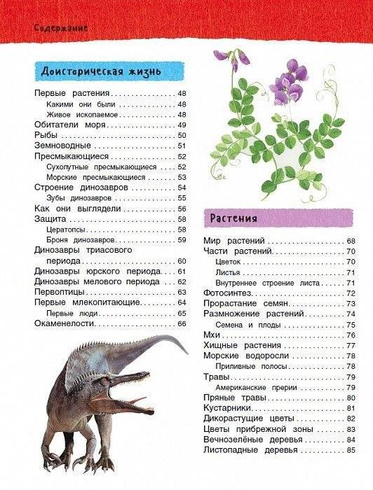 Большая иллюстрированная энциклопедия фото книги 4