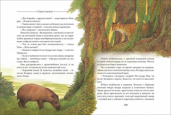 Летающий дом фото книги 3
