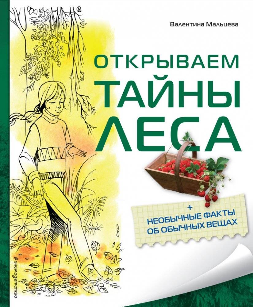 Открываем тайны леса | Discovering the Forest Secrets