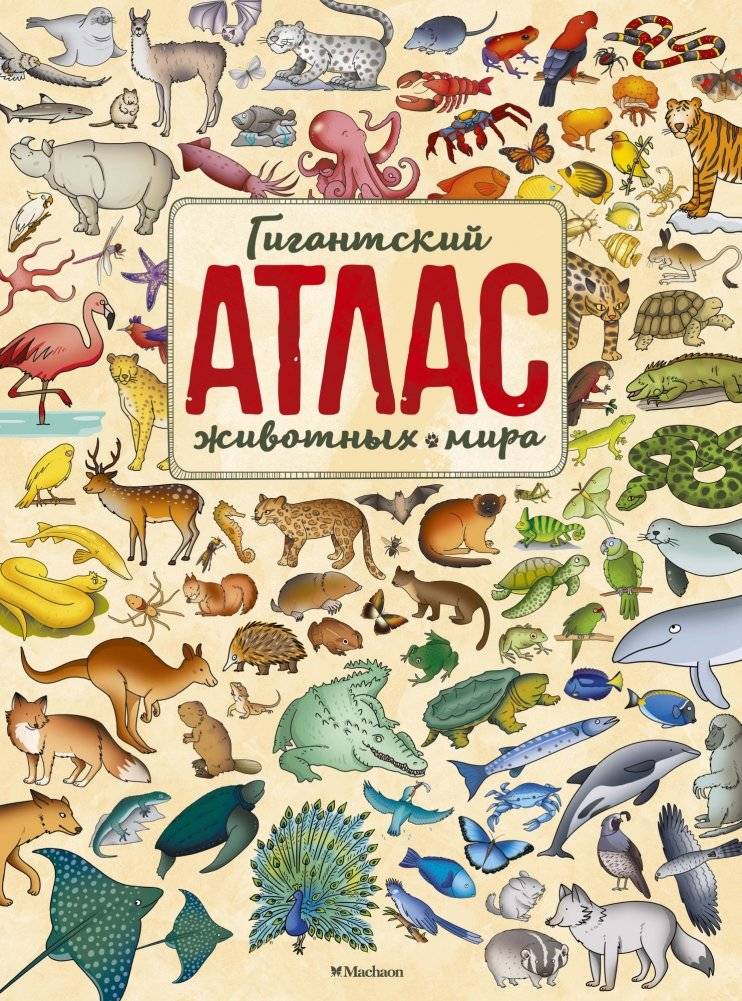 Гигантский атлас животных мира | Giant Atlas of World Animals