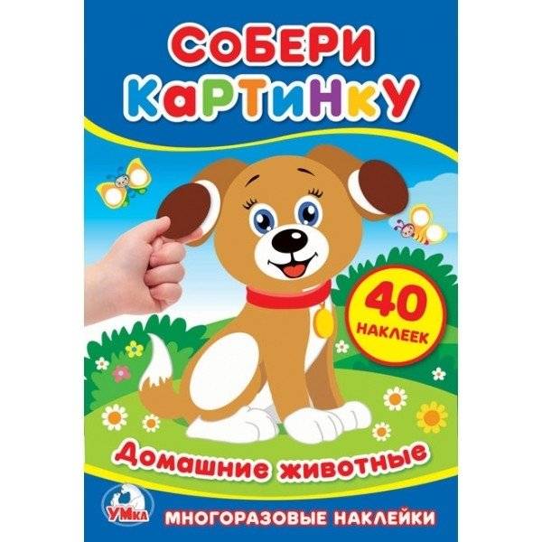 Домашние животные | Pets