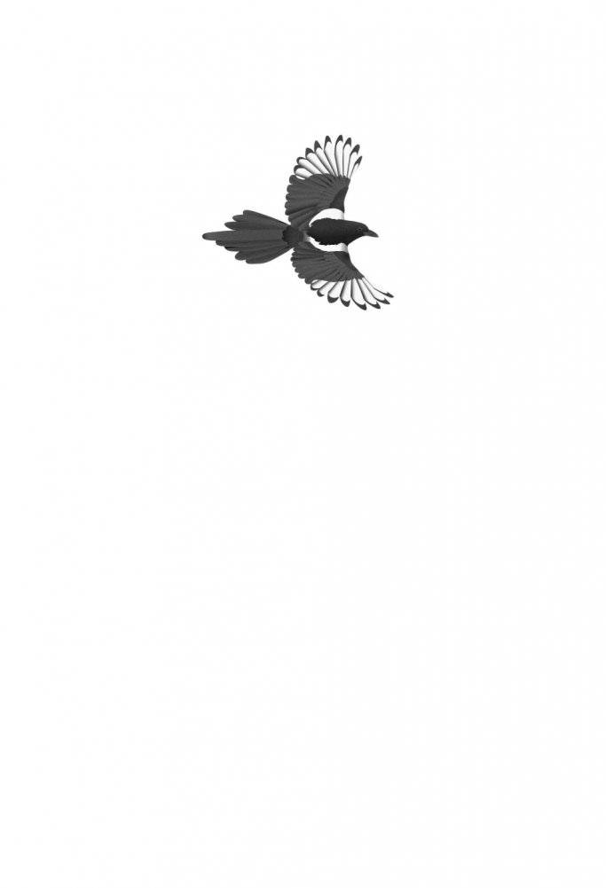 Пандора фото книги 2