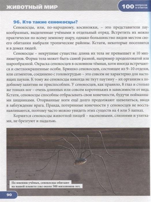 Животный мир фото книги 4