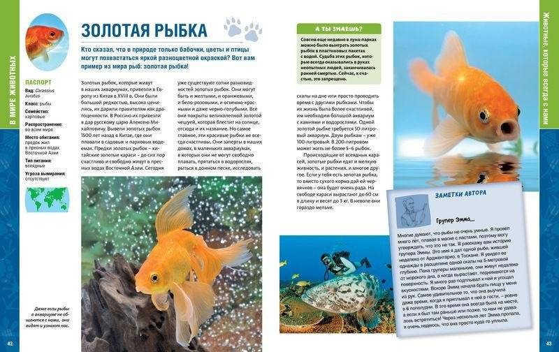 В мире животных. Энциклопедия фото книги 3