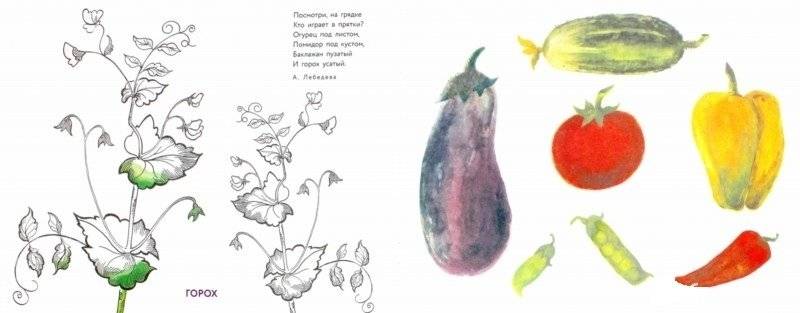Альбом для раскрашивания. Угадай, нарисуй, раскрась фото книги 2