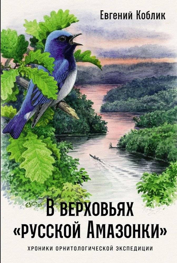 В верховьях «русской Амазонки»: Хроники орнитологической экспедиции | In the Headwaters of the 'Russian Amazon': Chronicles of an Ornithological Expedition
