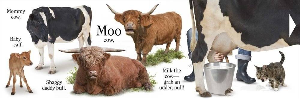 Moo фото книги 4